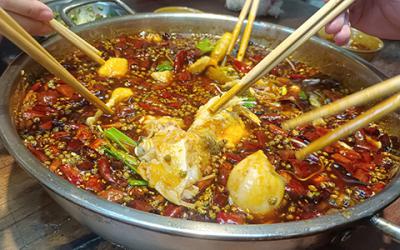 成都火鍋美蛙魚哪里教學好？學習美蛙魚要多久