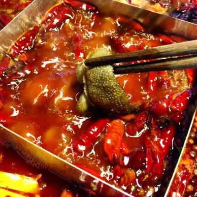成都火鍋培訓多少錢？ 成都火鍋培訓多少錢？